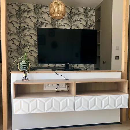 Studio Standing Et Calme Absolu Sarreguemines